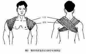 生肖羊今日运势及财运(生肖羊今日运势)