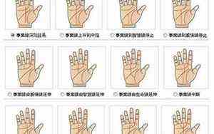掌文胜(掌文)