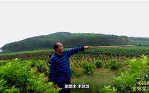 蔡徐坤是什么星座生肖(蔡徐坤是什么星座)