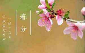 店肆林立什么意思(店肆)