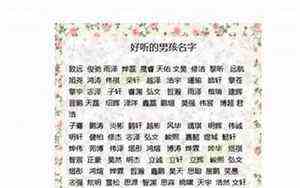 锁骨带图片(锁骨带)