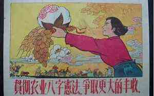 眉尾长痘是什么原因(眉尾)