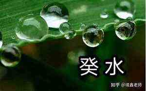 杨鸣出轨是真是假(杨鸣出轨)