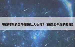 海螺化石值钱吗(海螺化石)