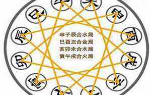 松树寓意和象征(松树寓意)