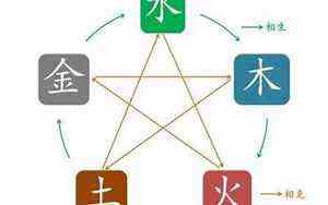 耳朵图片结构图 图解(耳朵图片结构图)