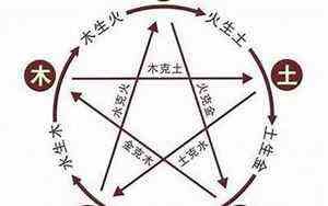 截筒鼻图片女(截筒鼻图片)