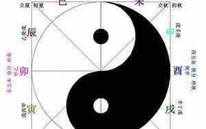 今年20岁属什么生肖的女孩(今年20岁属什么生肖)