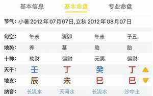 紫薇命盘详解(免费版)(免费最准命格测算)