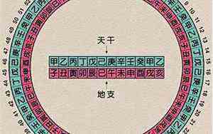 1981年属鸡男2022年的运势及运程(1981年属鸡男2022年的运势)