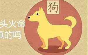 财官是什么意思 八字(财官是什么意思)